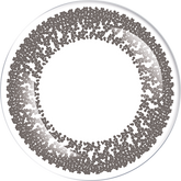 LACELLE 1-Day Cool Grey Colored Contacts Lenses (30 Pack)